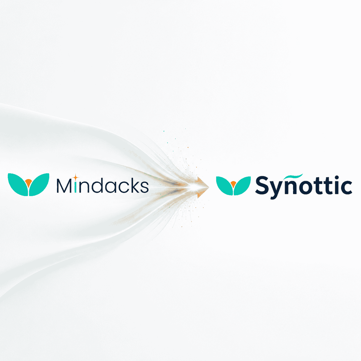 Mindacks to Synottic Transformation